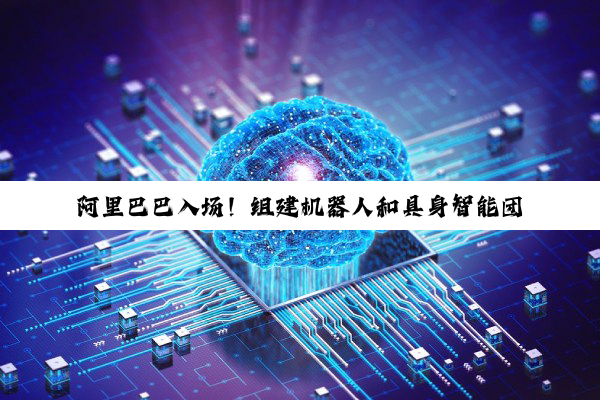 阿里巴巴入场！组建机器人和具身智能团队，让 AI 从虚拟走进现实